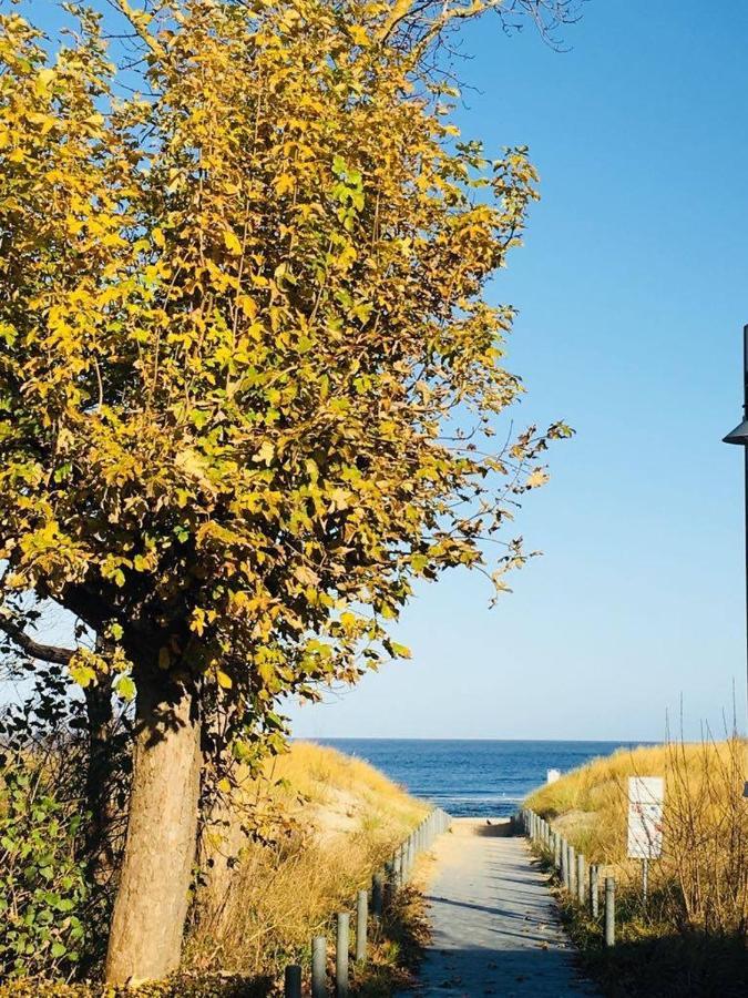 Pension Haus Pommern Heringsdorf  Esterno foto